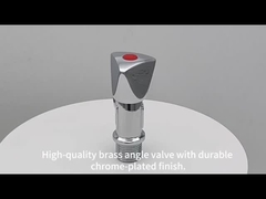 कोण वाल्व